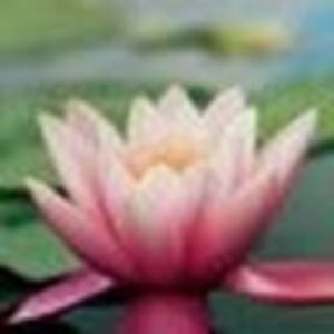 Meet your Posher, Jody